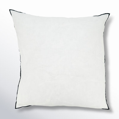 Riggs 20" x 20" Linen Throw Pillow