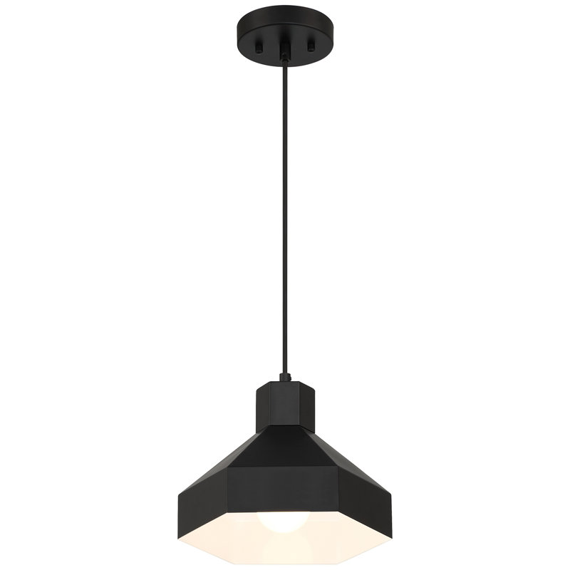Luminaire suspendu 1 lumière Leonhardt, Noir
