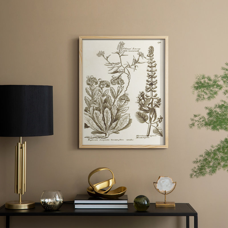 «Sepia Botanical Journal IV», reproduction encadrée - bois massif, Naturel, H 15 po x l 12 po