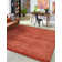 Franchester Indoor Rug