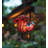 Mini Bug Solar Lantern - Ladybug