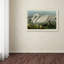 « common american swan » par john james, reproduction d’art sur toile tendue-33411685