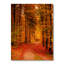 Chemin à travers la forêt d'automne rouge - reproduction d'art sur toile traditionnelle-276338034-276338036