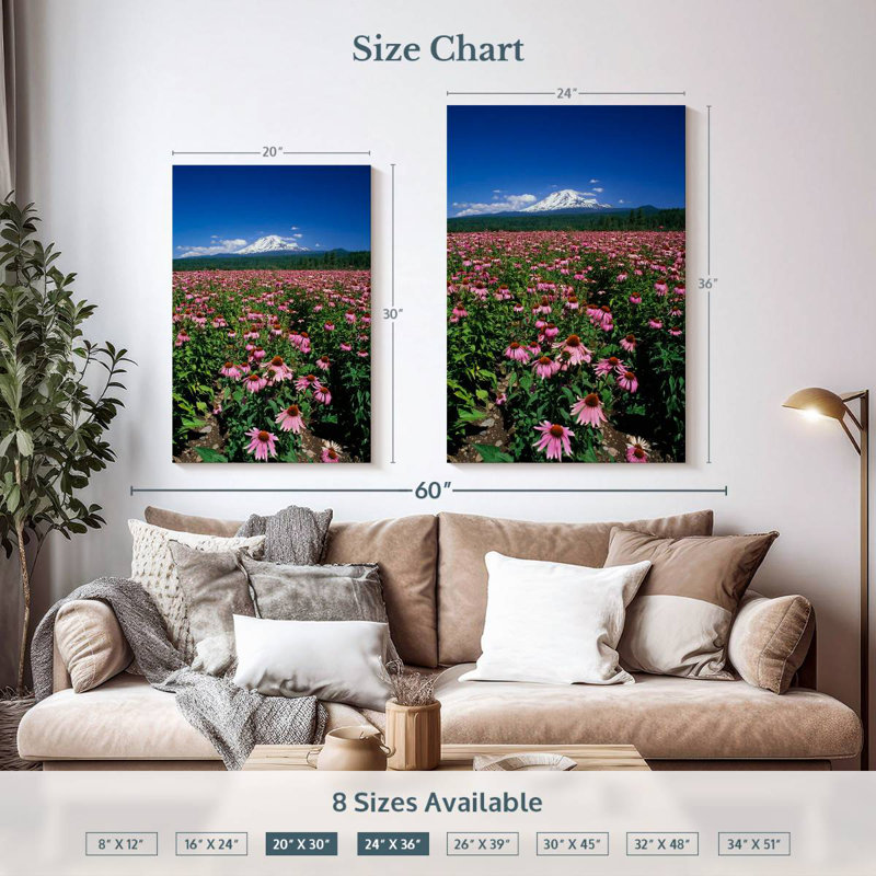 Harnek Echinacea Field, 36" H x 24" W