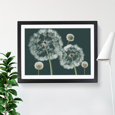 Magical Dandelion Flowers - Framed Print