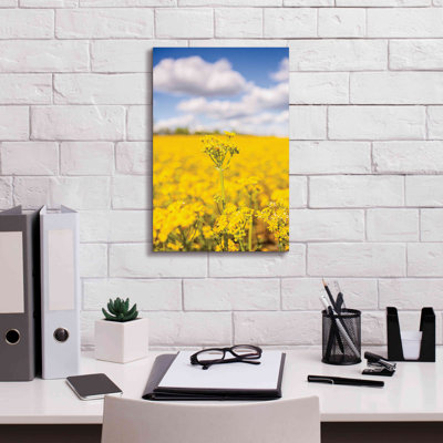 «Field of Yellow III on Canvas» par Donnie Quillen, reproduction d'art