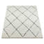 Taneesha Geometric Area Rug-1818804335