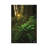 Peeking by Peter Coskun - Floater Frame Gallery-Wrapped Canvas Giclée on Canvas-1557683364-1557683373
