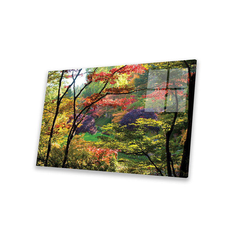 Arbres dans un jardin, Butchart Gardens, Victoria, île de Vancouver, Colombie-Britannique, Canada - aucune impression de cadre