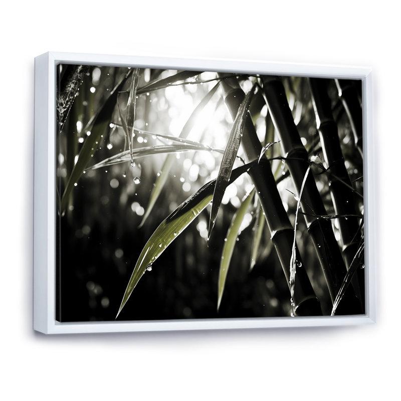 Décoration murale photo en bambou noir et blanc_106575, Cadre flottant blanc, 34" H x 44" W x 1.5" D