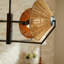 Coleman 4 - Light Chandelier