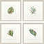 Palm Springs Leaves, art encadré