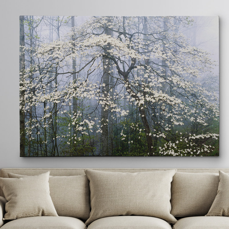 « jones _ dogwood auvent », reproduction d’impression sur toile tendue, H 30 po x l 40 po x P 1,5 po, Toile tendue