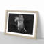 African Elephant - Picture Frame Graphic Art Print-56876343-56876345