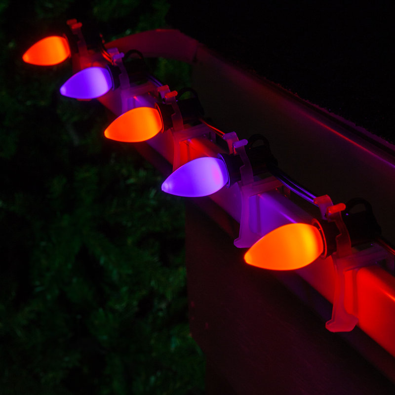 600'' String Lights, Purple/Orange