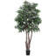 Arbre à feuillage en pot mini ficus