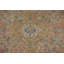 Traditional   Area Rug 10x13