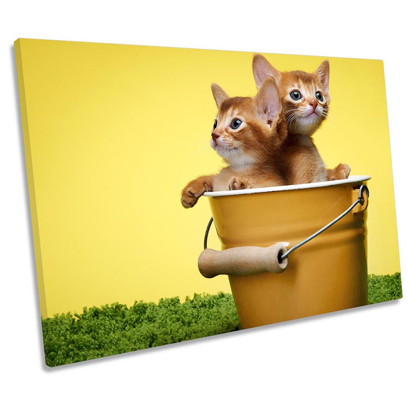 Z6291 Cute Kitten Cats Bucket - Wrapped Canvas Art Prints, 30.5cm H x 45.7cm W