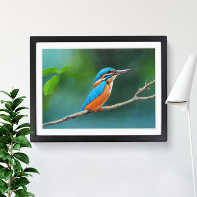 Evocative Kingfisher Bird - Framed Print