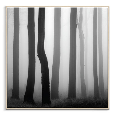 Print on Canvas