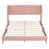 Rose est en rupture de stock