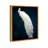" Dressed In Feathers "-72500298-72500305-119403335