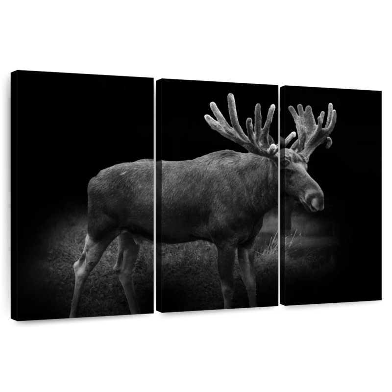 Monochromatic Bull Moose, 36" H x 57" W