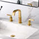 Widespread Bathroom Faucet with Drain Assembly