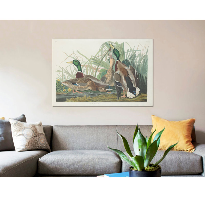 « mallard duck », impression sur toile, H 18 po x l 26 po x P 1,5 po, Pas de tapis, Toile tendue