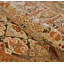 Tapis Sultan Phoenix-19231096
