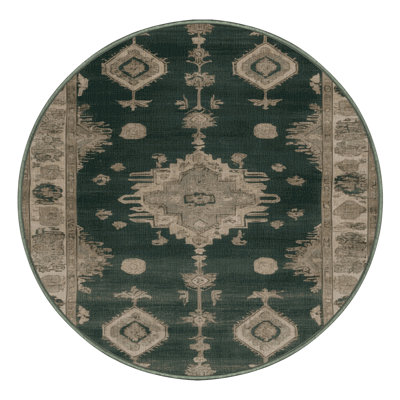 Machine Washable Overdyed Green Area Rug