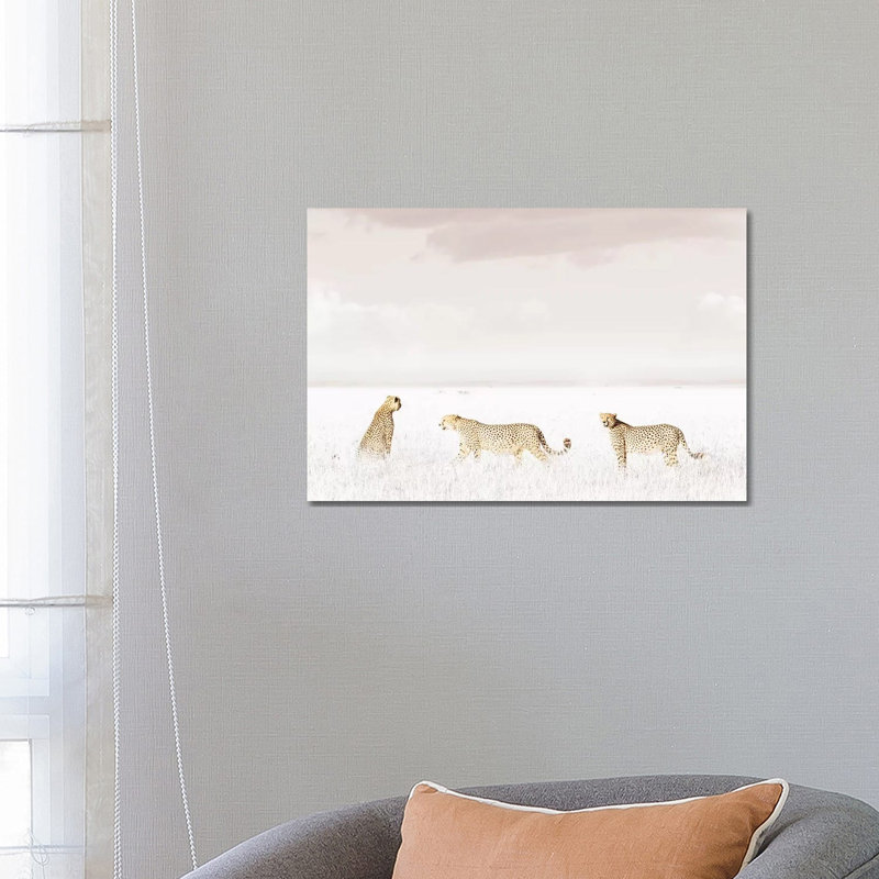 White Three Cheetahs by Klaus Tiedge - Wrapped Canvas Print, 66.04 cm H x 45.72 cm W x 1.91 cm D