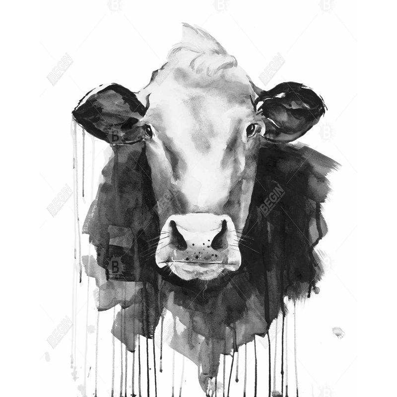 «Vache» sur