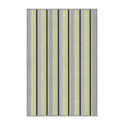 Striped Indoor Rug