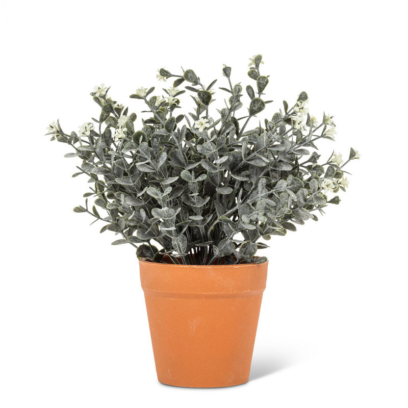 Arrangement en pot