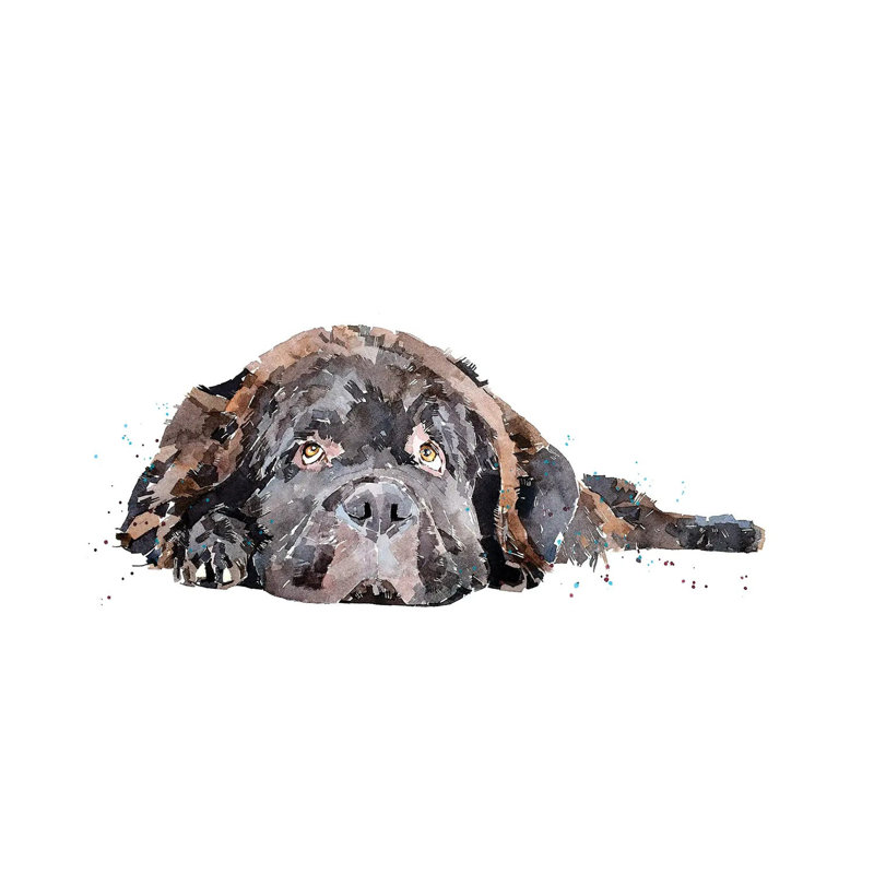 Newfoundland Dog - Wrapped Canvas Painting, 101.6 cm H x 66.04 cm W x 3.175 cm D