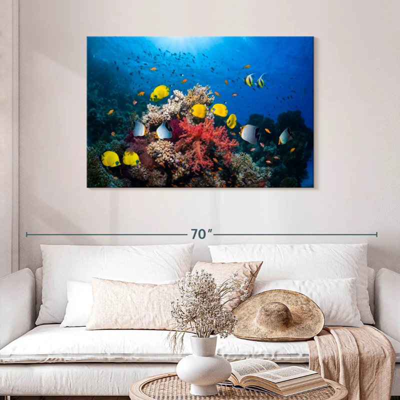 Brampt Underwater Red Sea Life, H 30 po x l 45 po