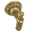 HAMPTON CRYSTALIZED SMALL HOOK; DECORATED WITH LIGHT COLORADO TOPAZ SWAROVSKI CRYSTALS; FLORENTINE GOLD FINISH-1491477556