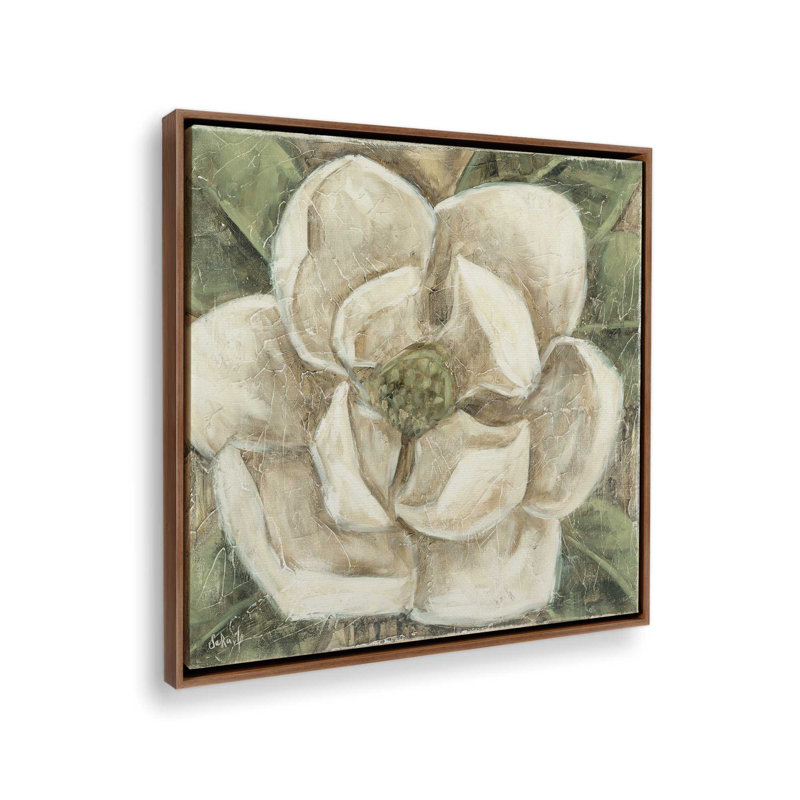 «Southern Belle» par Stellar Design Studio, reproduction d'art, Framed Canvas, Brown, 12 W x 12 H