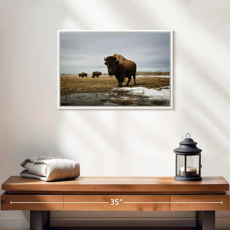 Bison Cloud Day, Cadre flottant blanc, 19 po x 13 po