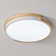 LED Flush Mount