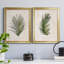 Palm Botanical I - ensemble de 2 photographies sur toile-1425392426-1425392431-1350425250