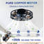 Classic American 20" Ceiling Fans with Lights Reversible 6-Speed DC Motor Remote Control Matte Black-130156498