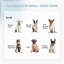 60cm H Panel Metal Exercise Pen With Door