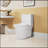 Advanced 1.1/1.6 GPF Elongated Comfort Height Floor Mounted One-Piece Toilet, CUPC Certified, Watersense Cetified, Ceramic, Soft Close Seat-112377970