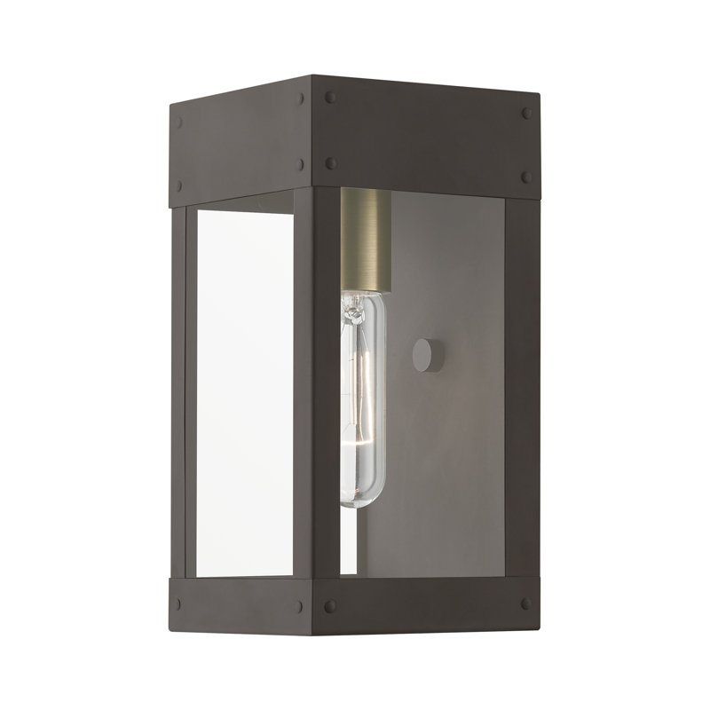 Pippo 1 - Bulb 9.75" Integrated LED Outdoor Wall Lantern, Bronze
