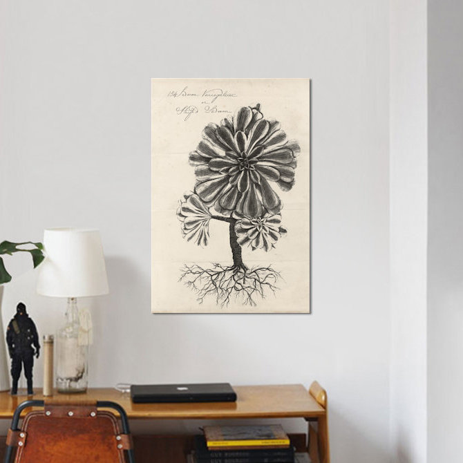 « thornton plantes grasses iv », reproduction d’art sur toile, H 60 po x l 40po x P 1,5 po, Toile avec cadre noir, Blanc