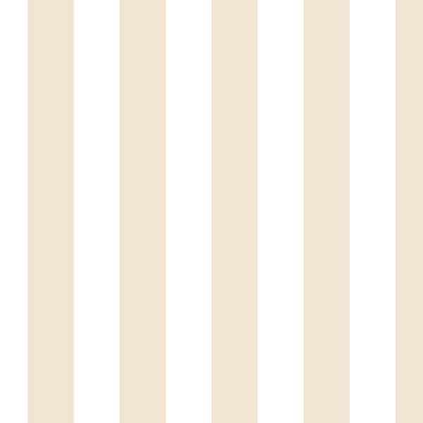 Rouleau de papier peint rayé L 32,7 pi x l 20,5 po Knoxville, Beige / Blanc