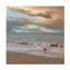 Mouette sur la plage par Cora Niele - photographie sur toile tendue-2051457806