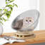 Salon pour chat Modern Space - dôme en acrylique transparent-1150871877